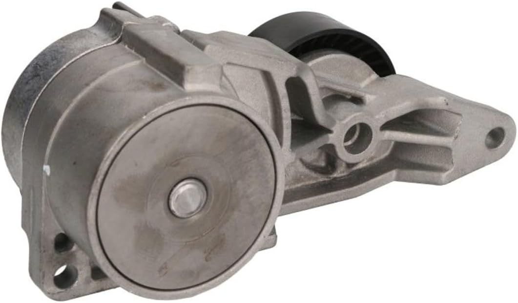 SNR ga365.41 Spannrolle, Gurt Poli V