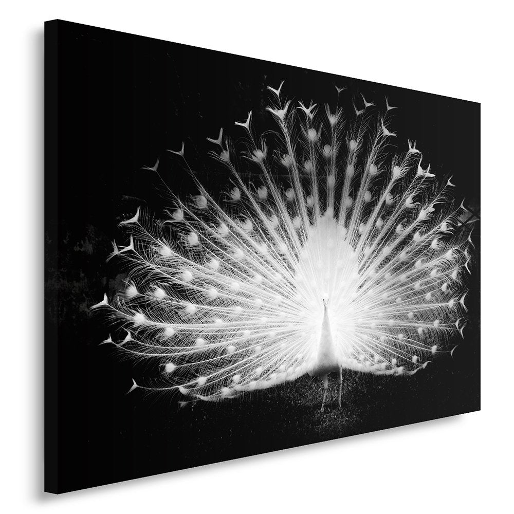 Feeby Frames, Leinwandbild, Bilder, Wand Bild, Wandbilder, Kunstdruck 70x100cm, NATUR, VOGEL, PFAU,