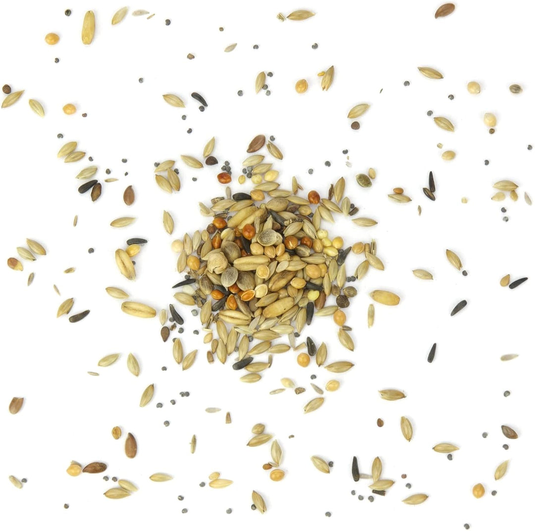 Kanarien-Fit, Kanarienfutter ohne Rübsen 10 kg, 10 kg