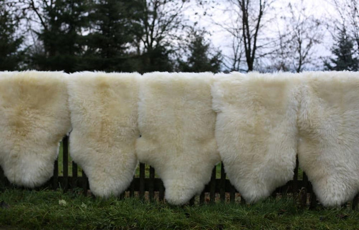 Schaffell Lammfell Merino Fell Naturfell Creme ökologisch gegerbt Grösse 100-110, 100-110