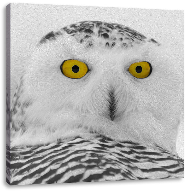 Pixxprint grosse Schnee Eule schwarz/weiss, Format: 70x70 auf Leinwand, 70x70