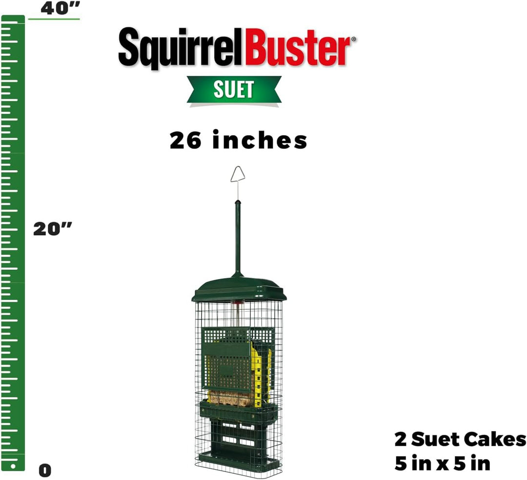 Squirrel Buster Talg Eichhörnchensicher Talg Vogelfutterstation mit Zwei Talgkuchenschalen, Zwei Krü