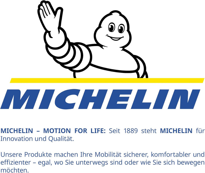 MICHELIN Radkappen 15 Zoll Universal Radzierblenden Fabienne 4er Set Fürs Auto ABS Kunststoff | Schw