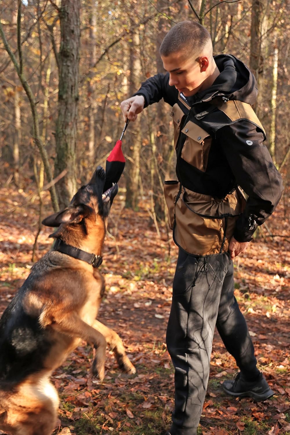 DINGO GEAR Professional Vest for Dog Training D35 M, M