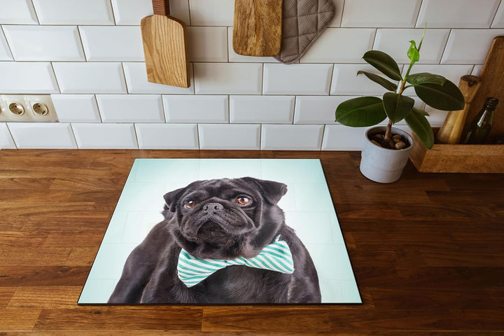 Lustiger Mops mit Fliege Herdabdeckplatte &amp; Spritzschutz aus Echtglas | Für Herd-Kochfelder | 60x52