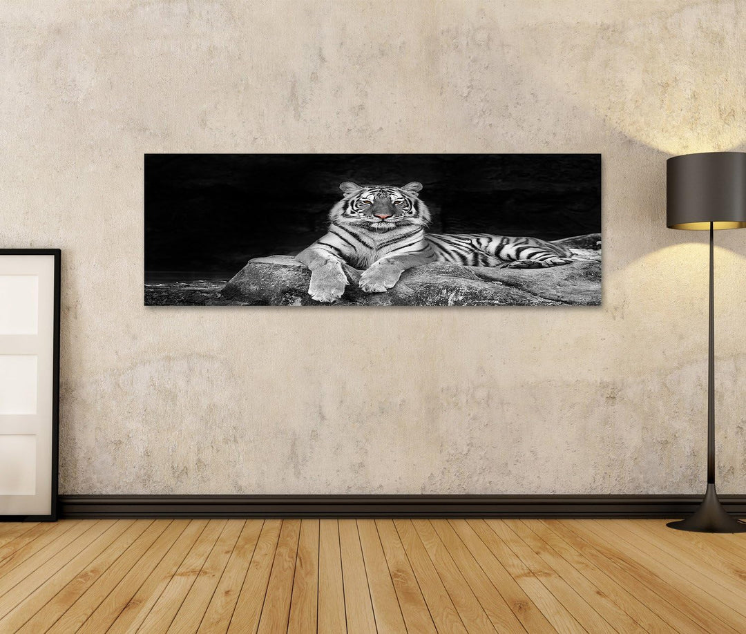 Bild auf Leinwand weisser Tiger Wandbild Poster Leinwandbild 120x40 Panorama, 120x40 Panorama