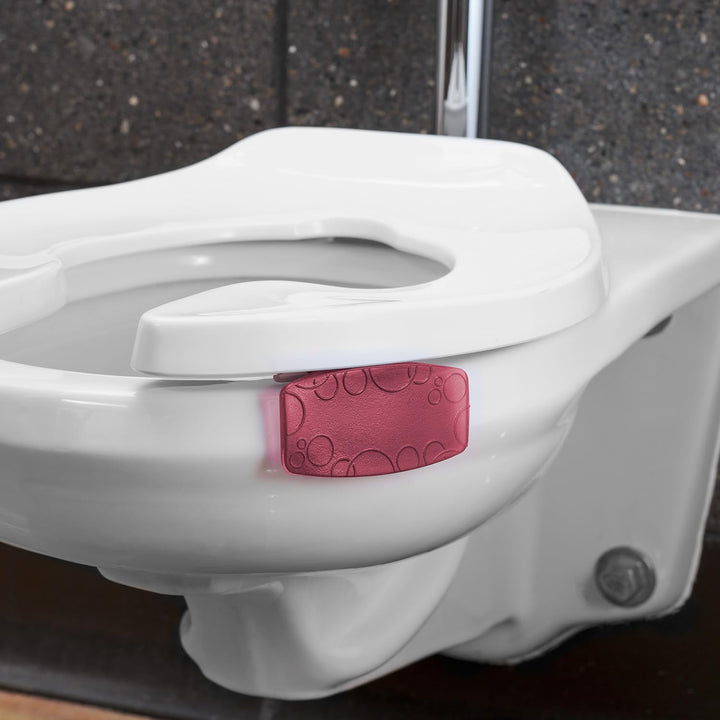 Fre-Pro by Fresh - Bowl Clip Lufterfrischer für Toiletten, Spiced Apple, Box mit 12 Stück, Spiced Ap