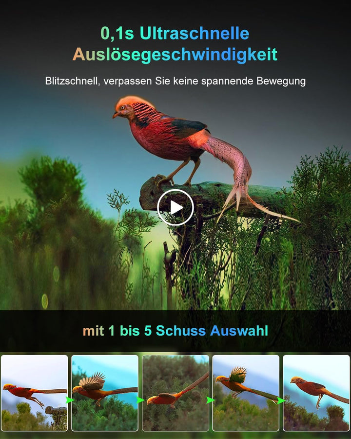 Wildkamera, 8K Wildtierkamera WLAN mit 32G Speicherkarte 60MP Wildcamera mit Handyübertragung APP, B
