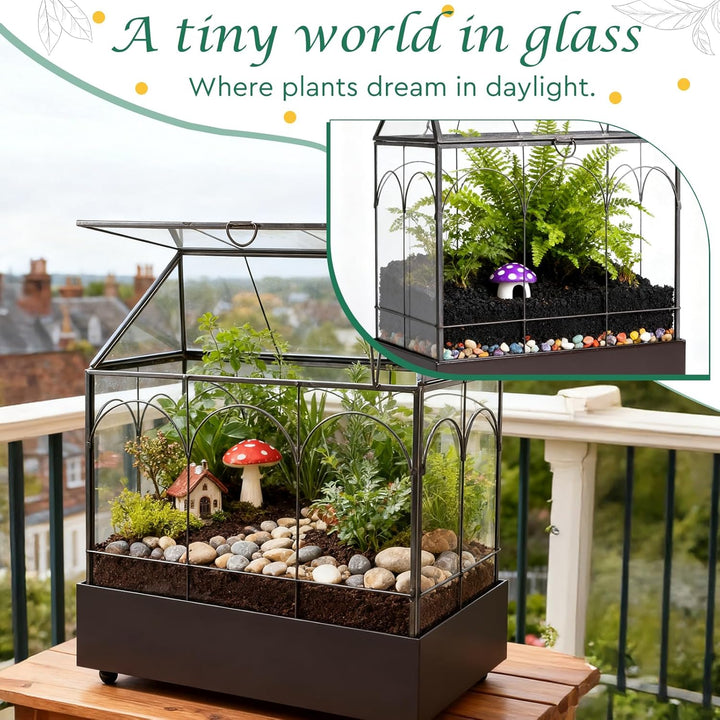 Mini Gewächshaus Fensterbank Glas mit Auffangschale 24,2 x 14,7 x 29 cm Pflanzenterrarium Klein Flas