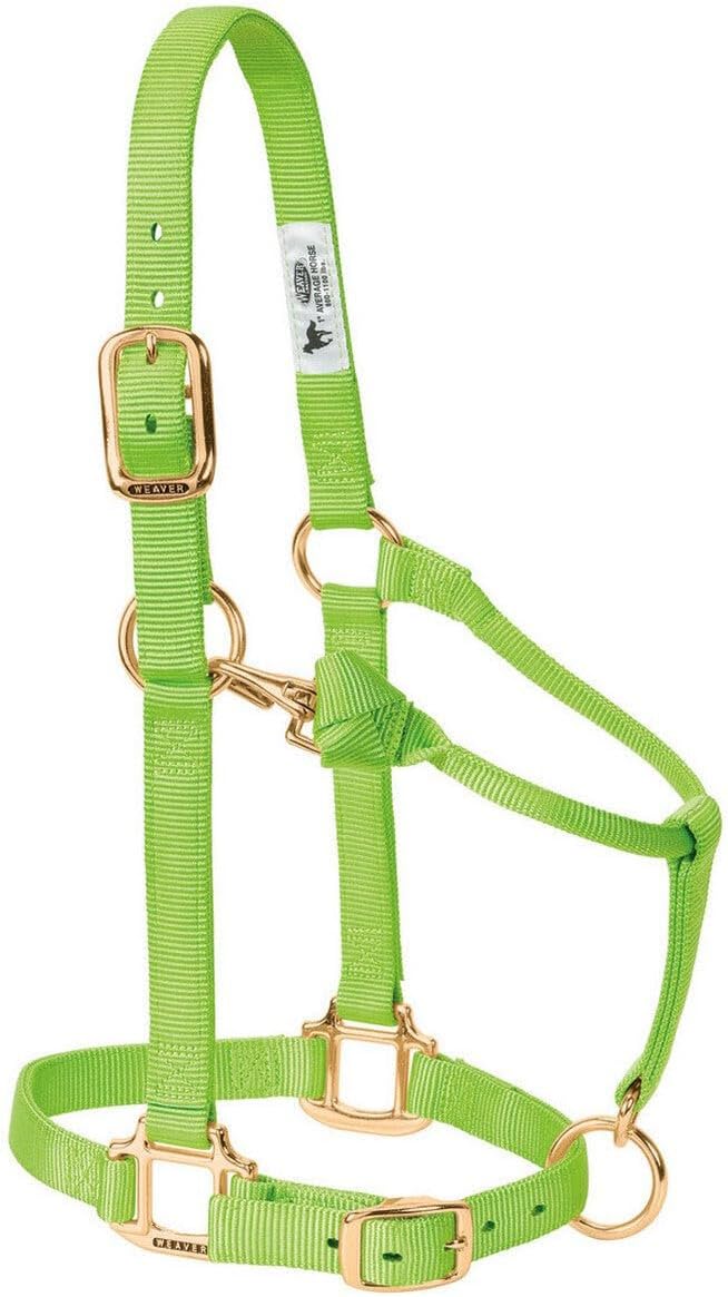 Weaver Leather Original verstellbares Nylonhalfter für Pferde S Horse Violett, S Horse Violett