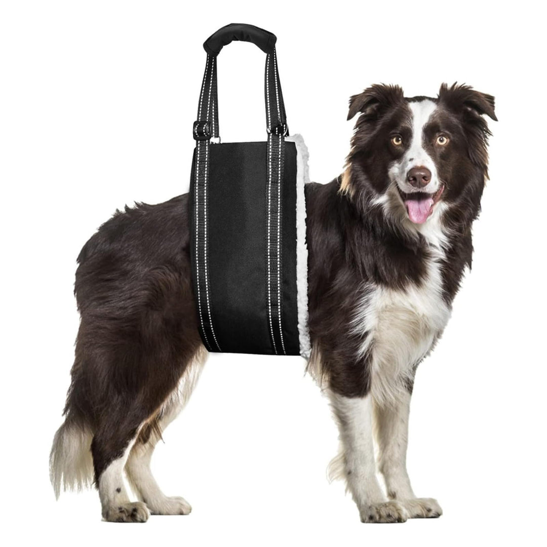 Ganzkörper Tragehilfe, Treppenhilfe, Dog Carrier Hundetrage, Tragegurt, Verstellbarer Hunde Tragehil