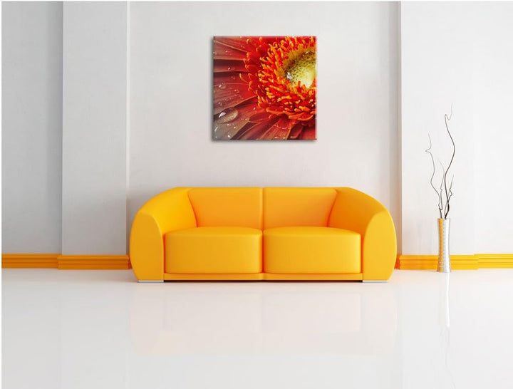 Pixxprint Gerbera mit Wassertropfen als Leinwandbild/Grösse: 70x70 cm/Wandbild/Kunstdruck/fertig bes
