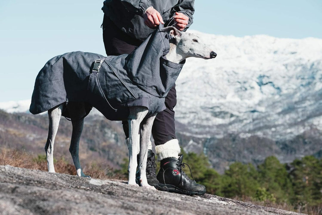 Hurtta Expedition Parka Wintermantel Hundemantel Blackberry Schwarz Broombeerfarben 35, Broombeerfar
