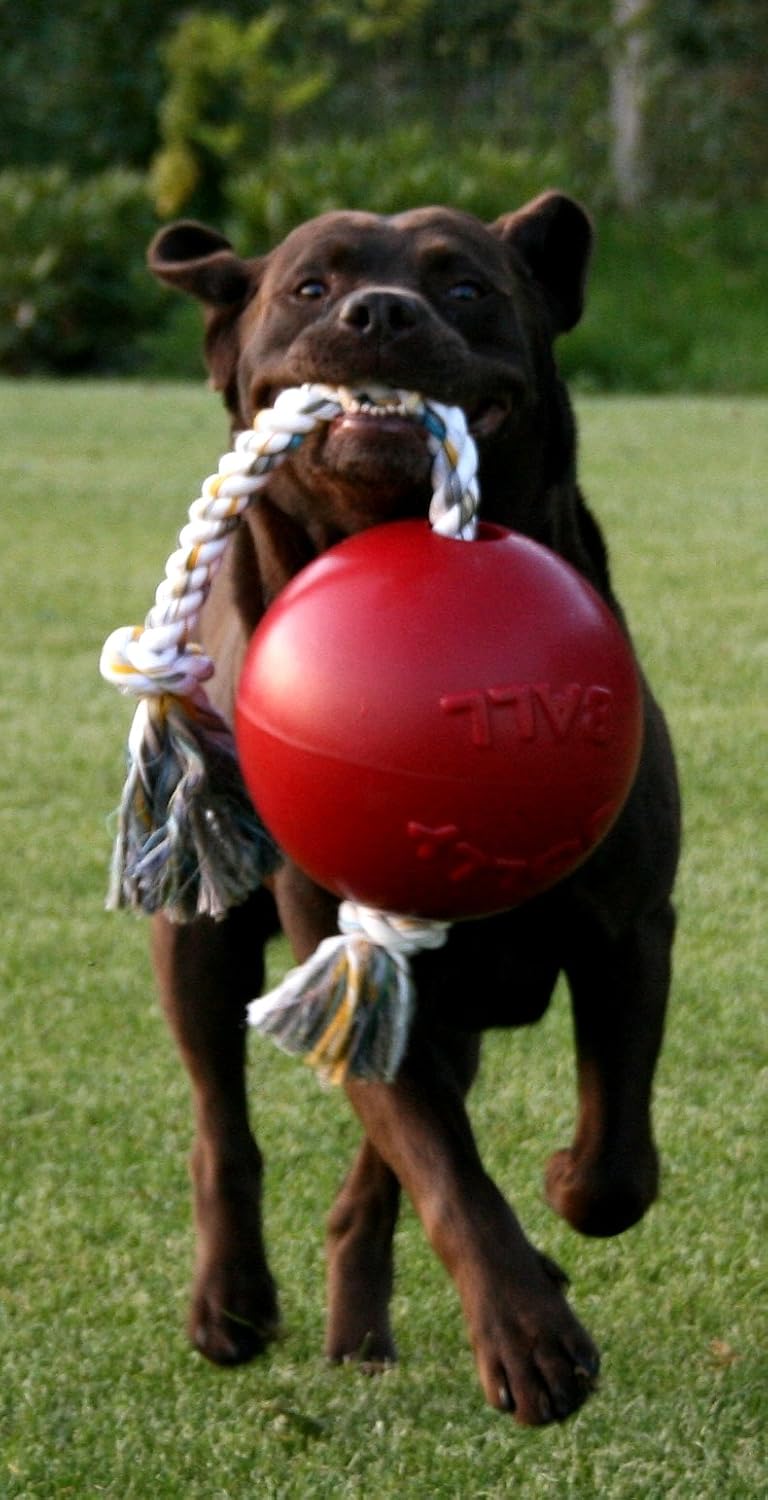 Jolly Pets toben und herum Rollen Spielzeug., Large / X-Large Large / X-Large Black, Large / X-Large