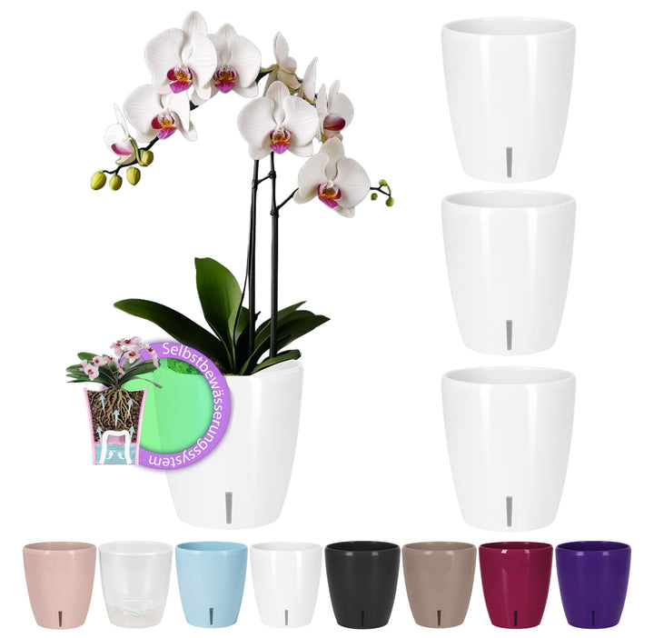 Santino 4er-Set Orchideentopf D 12cm Selbstbewässernder Topf mit Dochtsystem und Wasserstandsanzeige