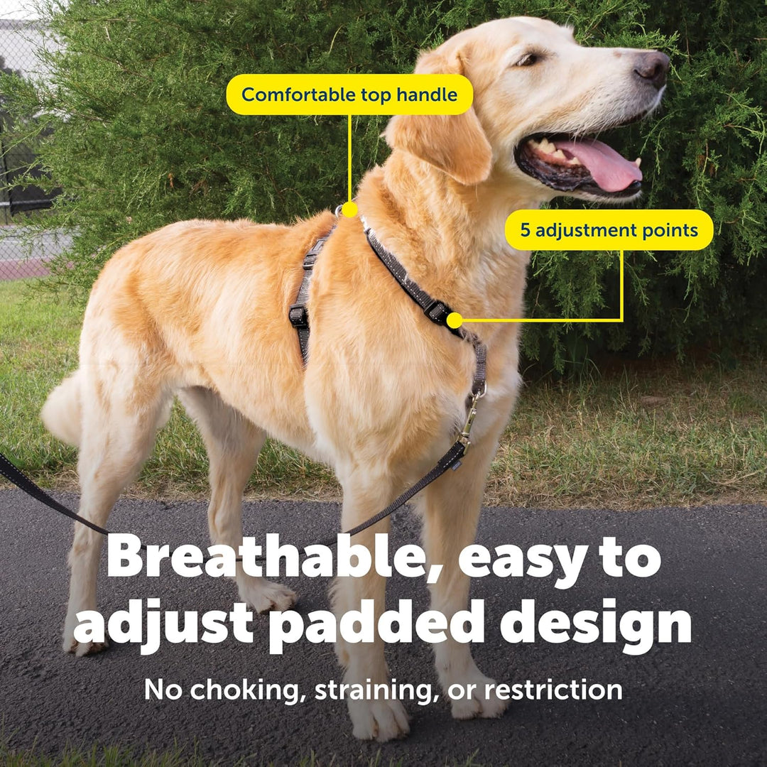 PetSafe 3in1 Harness, from The Makers of The Easy Walk Harness, Fully Adjustable No-Pull Dog Harness
