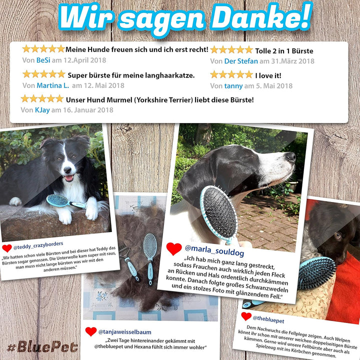 BluePet 2in1 Hundebürste für Langhaar & Kurzhaar Auch für Welpen & Katzen I Glätten, Entwirren, Ausb