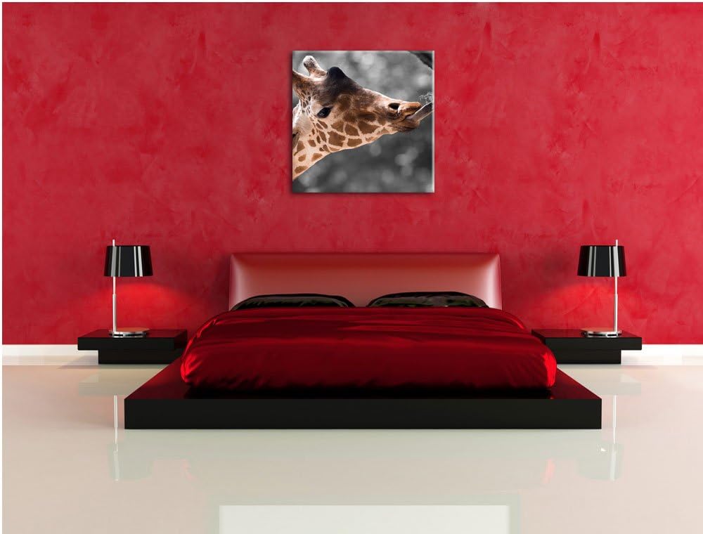 Pixxprint Hungrige Giraffe mit Zweig schwarz/weiss, Format: 70x70 auf Leinwand, 70x70