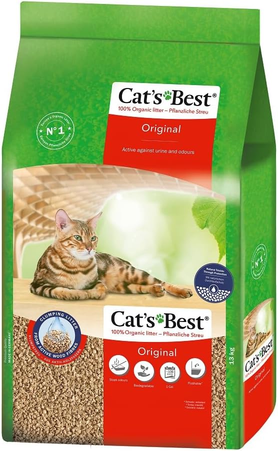 Cat&