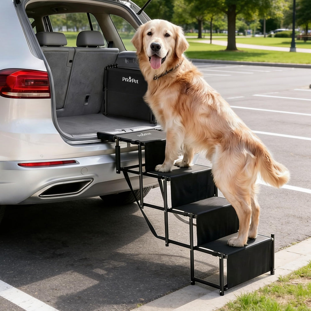 Hundetreppe Auto Klappbar – Leicht & Verstellbar 53–81 cm für SUV & Kombi – Hunderampe Alternative f