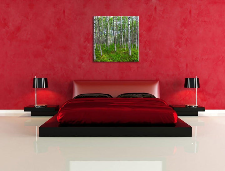 Pixxprint Birkenwald, Format: 70x70 auf Leinwand, XXL riesige Bilder fertig gerahmt mit Keilrahmen,