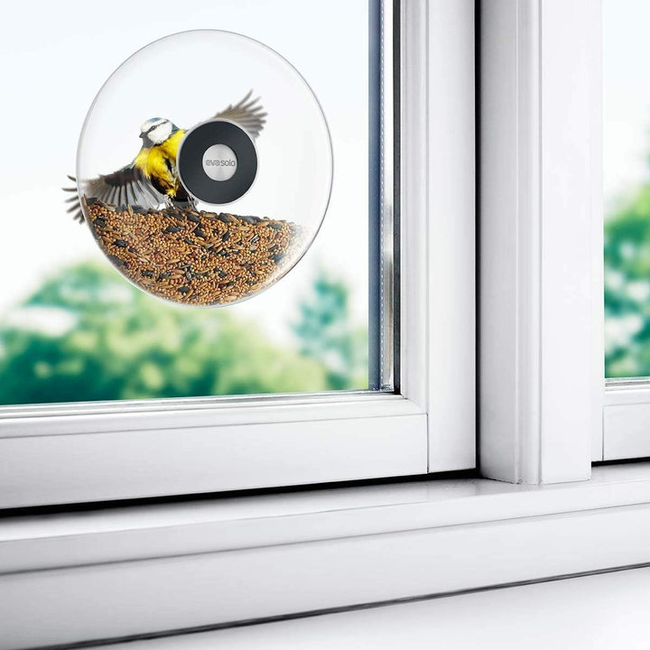 EVA SOLO | Fenster-Futterkugel Gross | Man kommt der Vogelwelt ganz nah; kleine Vögel können sich pr