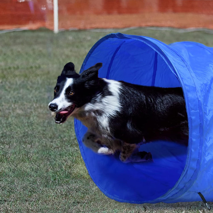 Agility Set Hunde Agility Trainingsgeräte Hürden Ausrüstungs Set, Gross Haustier-Trainingsset Hundet