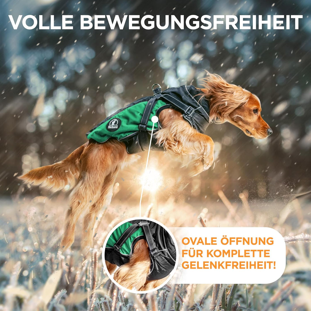 TIERHOOD - Hunderegenmantel wasserdicht [INKL. Geschirr] - Regenmantel Hund - [INKL. Reflektoren] -