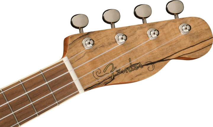 Fender Zuma Exotic Concert Ukulele, Walnut Fingerboard in Spalted Maple