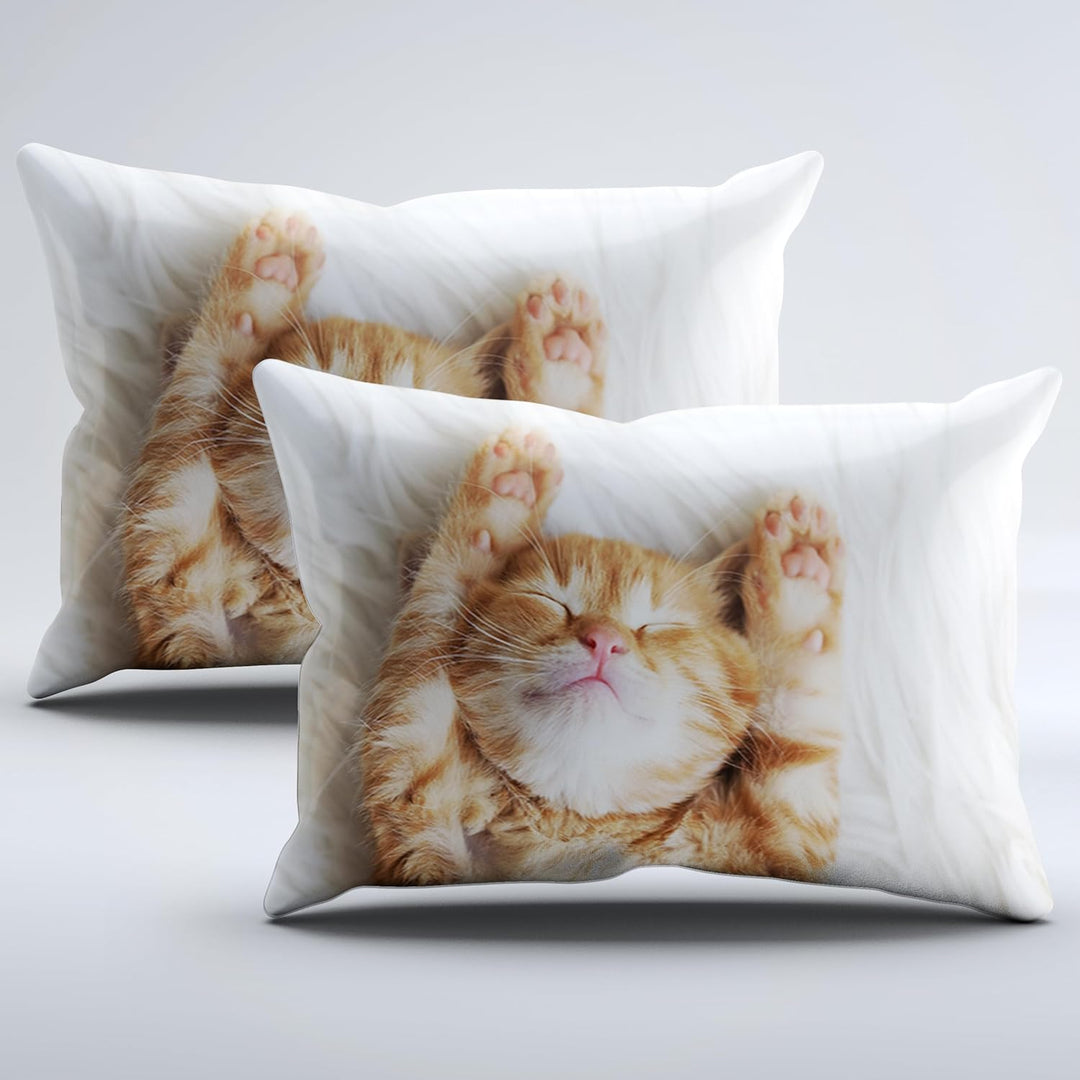 Katzen bettwäsche 220x240, 3D Katzen Muster Bettwäsche-Sets mit Reissverschluss, Super Weiche Angene
