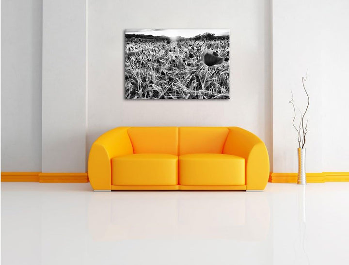 Pixxprint Mohnfeld bei Sonnenuntergang als Leinwandbild/Grösse: 100x70 cm/Wandbild/Kunstdruck/fertig