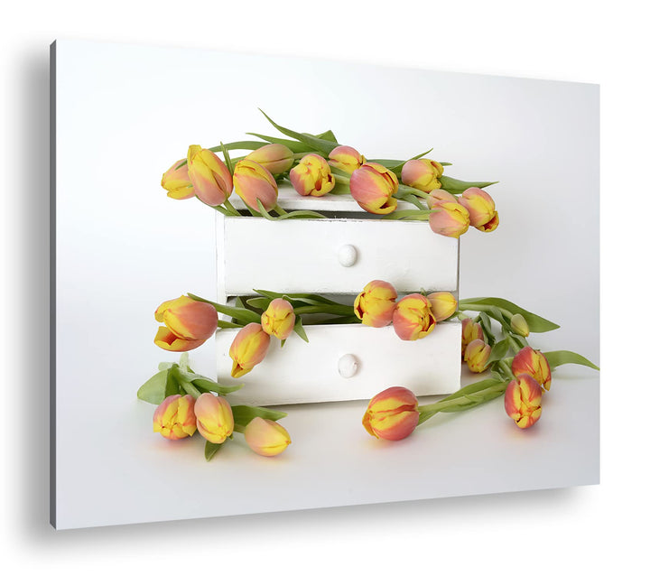 deyoli wild verstreute Tulpen Format: 80x60 als Leinwand, Motiv fertig gerahmt auf Echtholzrahmen, H