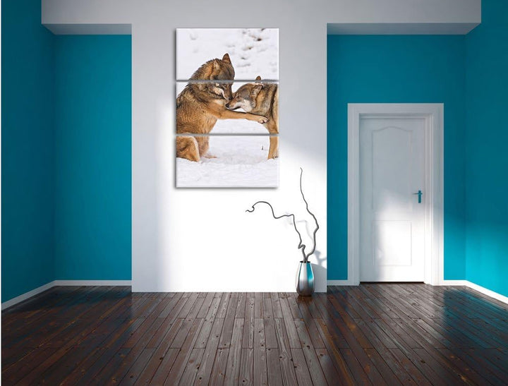 Pixxprint spielendes Wolfsrudel 3-Teiler Leinwandbild 120x80 Bild auf Leinwand