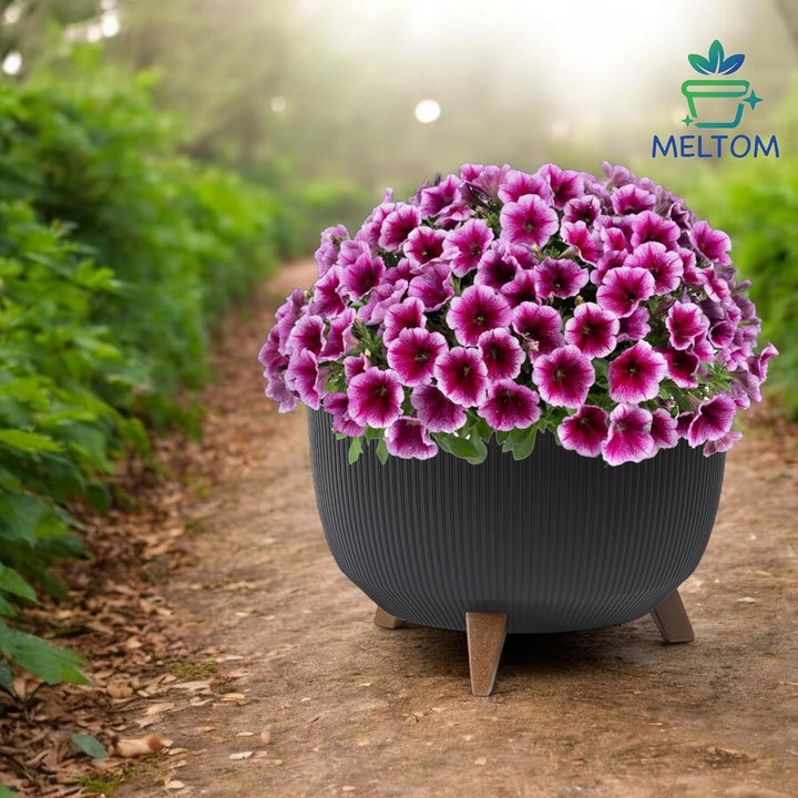 MELTOM Blumentopf Schale mit Füssen Einsatz Kräutertopf Übertopf Pflanzschale Eco Recycled (Schwarz,