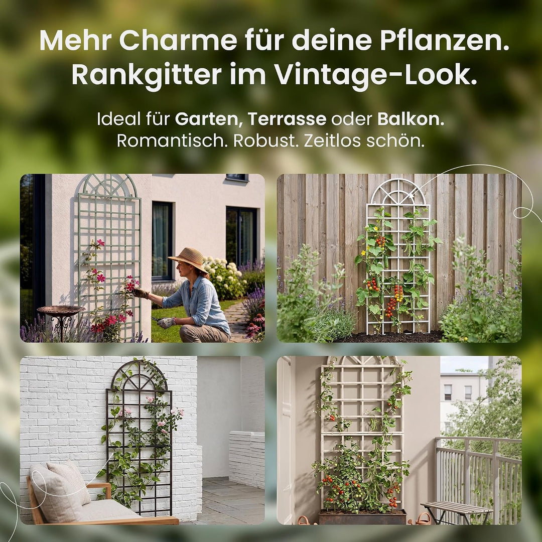 CLP Wand-Rankgitter Viva mit Rahmen I Rankgitter aus Eisen zur Wandbefestigung I erhältlich, Farbe:w