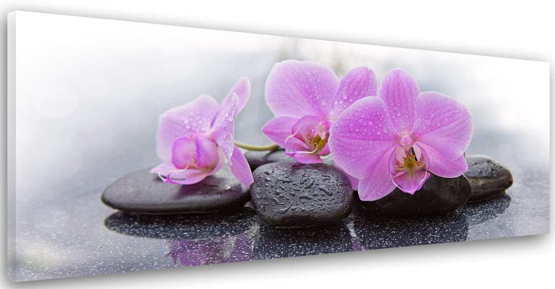 Feeby Bilder Orchidee 120x40 cm 1 Teilig Wohnzimmer Schlafzimmer Büro Küche Wandbilder Leinwandbilde