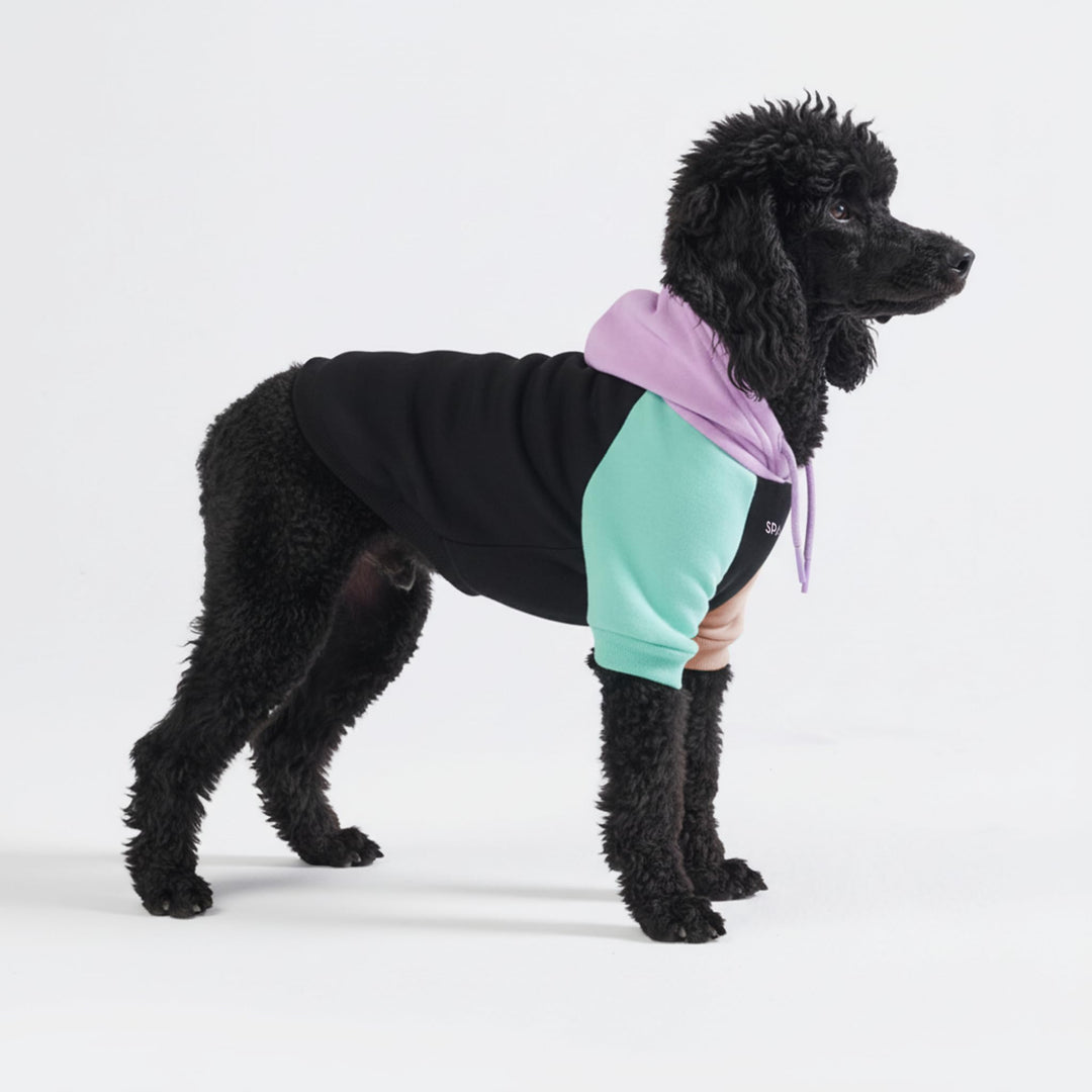 Spark Paws Hunde-Kapuzenpullover, Premium-Qualität, samtweich, überlegener Komfort und Passform, ber