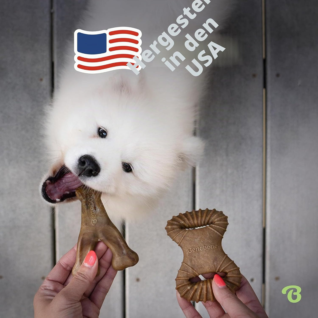 Benebone 2-Pack Indestructible Dental Chew/Wishbone for Aggressive Chewers, Long Lasting Tough Bored