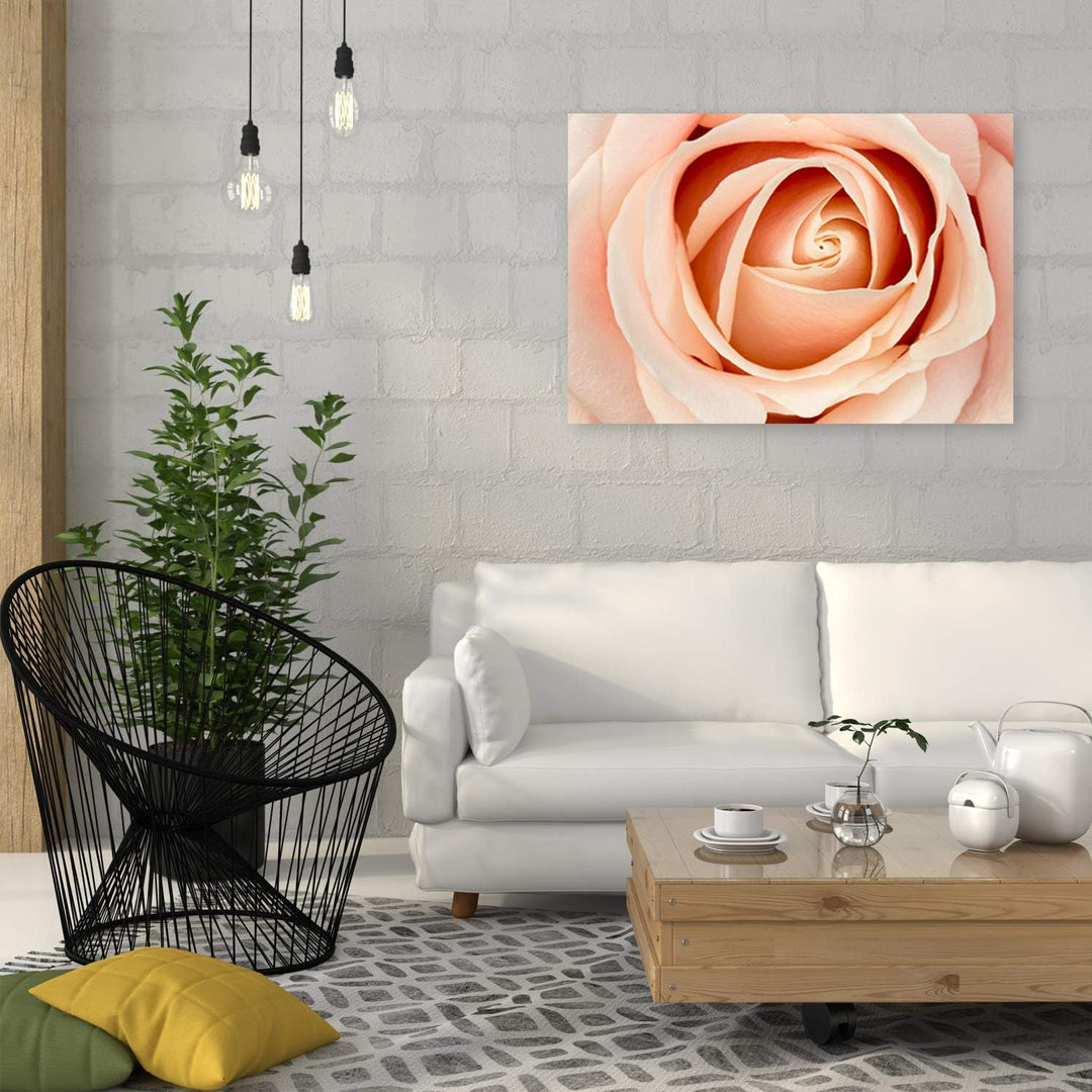 Feeby Wandbild Natur Druckbild Leinwandbild Blume Orange 100x70 cm M14558 100x70 cm, M14558 100x70 c
