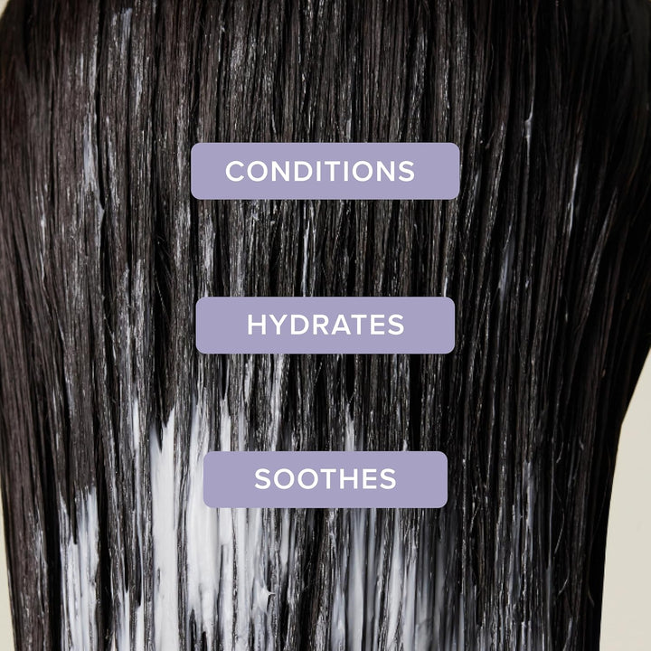 Paul Mitchell Tea Tree Lavender Mint Moisturizing Conditioner - Feuchtigkeits-Conditioner für trocke