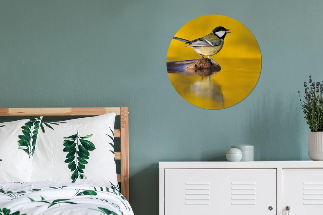 MuchoWow Wandbild Rund Wanddeko Deko Wohnzimmer Bilder 60x60 cm Kohlmeise - Vogel - Wasser, 60x60 cm