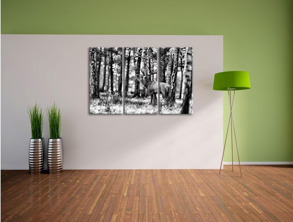 Pixxprint Hirsch im Wald als Leinwandbild | Grösse: 3 Teilig (120x80) | Wandbild| Kunstdruck | ferti