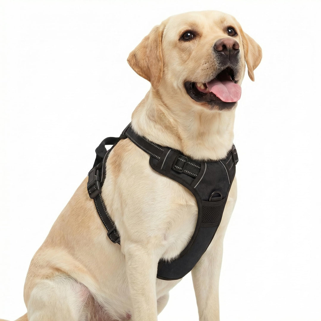 Funfox Hundegeschirr Grosse Hunde, Anti Zug Brustgeschirr Verstellbares Geschirr Hund, Antiziehgesch