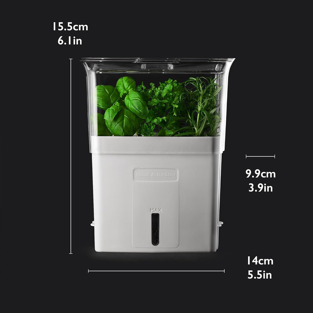 Cole &amp; Mason H105159 Tealby Kräutertopf für frische Kräuter, Schnittkräuter Box/Schnittkräuterbox/Kr