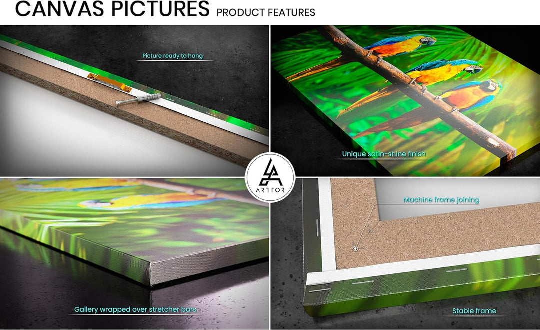 Bilder auf Leinwand Schönheit kleid mode modell Leinwandbild 70x50cm Wandbilder Dekoration Wohnzimme