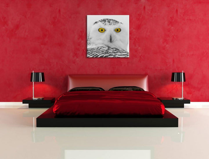 Pixxprint grosse Schnee Eule schwarz/weiss, Format: 70x70 auf Leinwand, 70x70